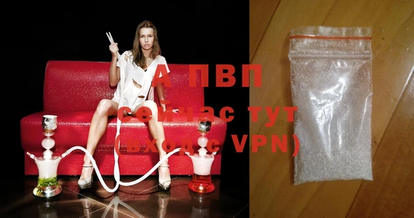 ПСИЛОЦИБИНОВЫЕ ГРИБЫ Магас