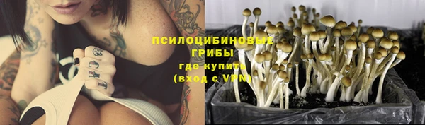 скорость Липки