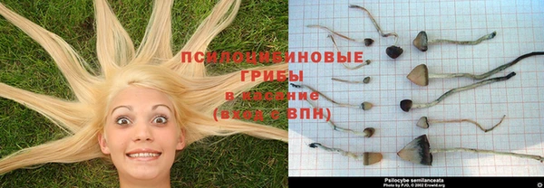 СК Лихославль