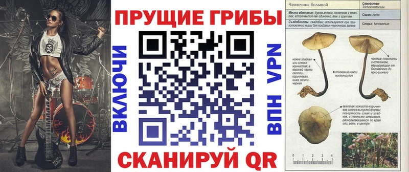Галлюциногенные грибы Cubensis Малоархангельск